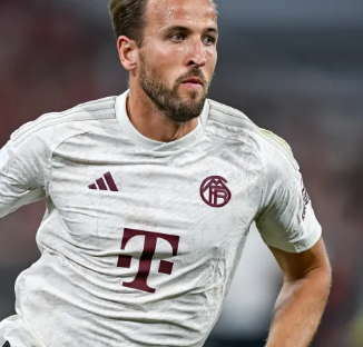 比如夏季可 比如夏季可