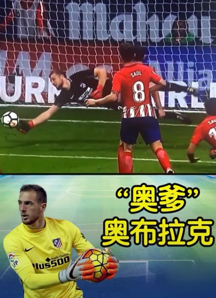 仅需要执行 仅需要执行