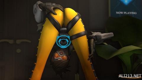 平台口碑 平台口碑